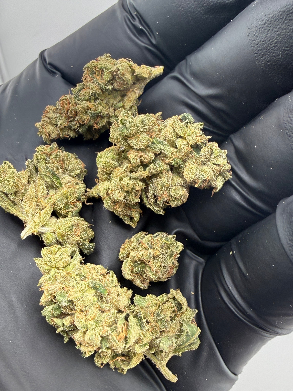 THCa Flower Bloomington Headband