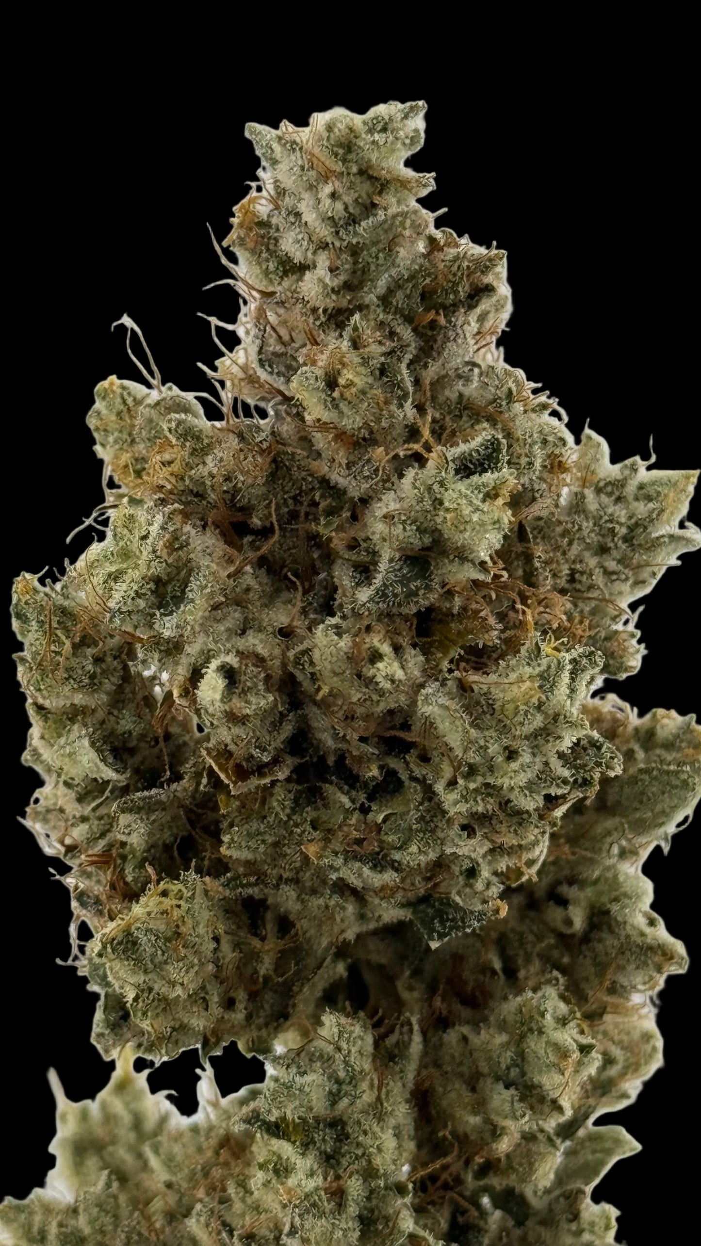 THCa Flower GG4