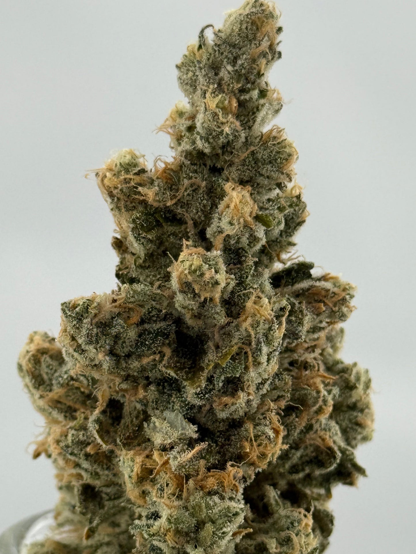 THCa Flower - Blue Dream