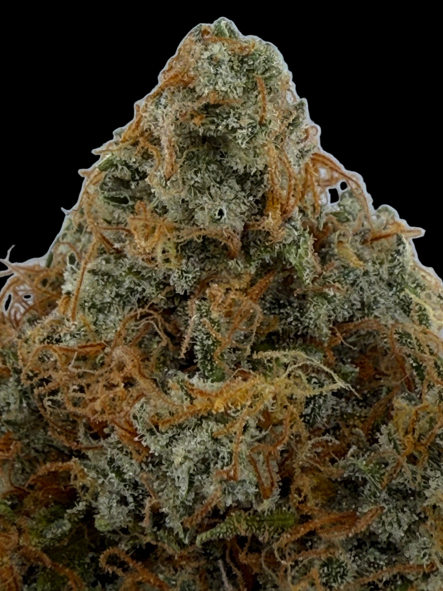 THcA Flower Bubblegum