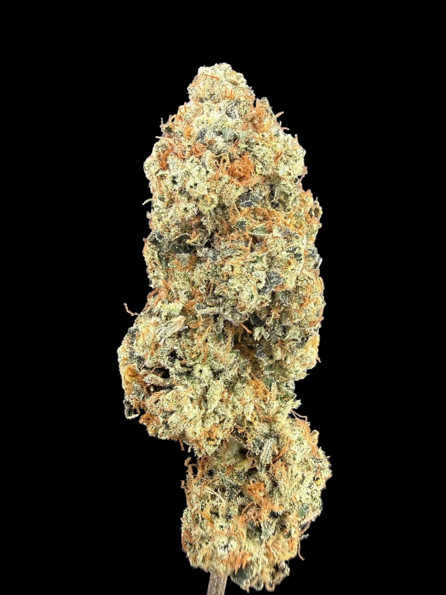 THCa Flower Motorbreath